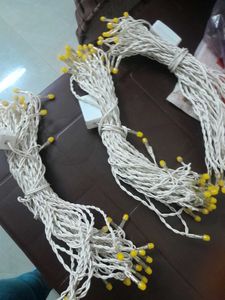 String Lights