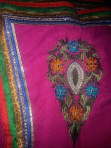 Multi Colour Saree With Embroidery