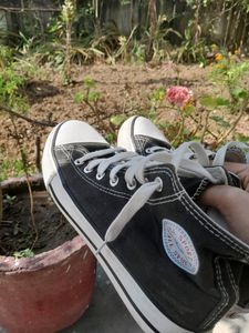 Converse (All Sports) Shoe {♡