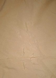 Casual Beige Pants