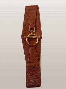 Stylish Brown Belt with Golden Accents
