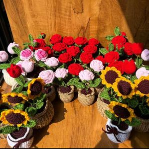 Crochet Flower Pot Plant Decor