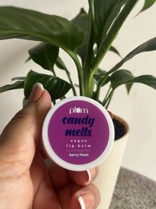 Plum Candy Melts Vegan Lip Balm - Berry Feast