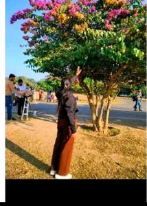 Brown Casual Pants