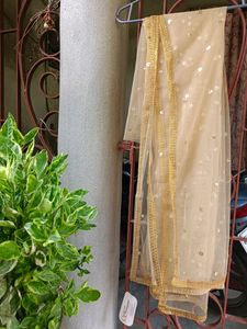 Branded New Gold Toned Embroidered Dupatta💛💛💛