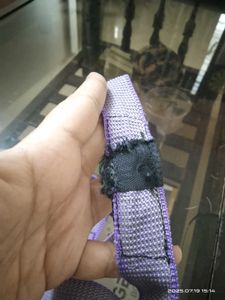 Free - Pet Leash