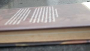 Gentleman Spymaster Book