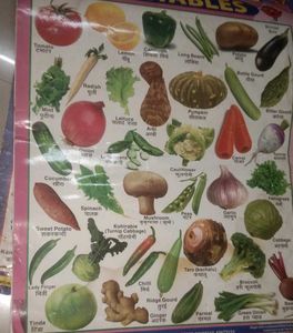 Hindi Varnamala, Vegetables Fruits Animals Chart