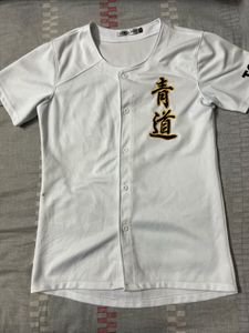 Seido High School Baseball Jersey(Ace of Diamond)