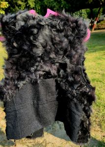 Trendy Faux Fur Sleeveless Vest/Jacket