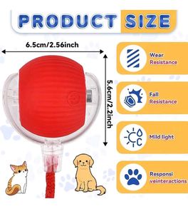 Interactive Pet Toy