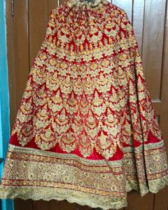Beautiful Embroidery Sequinned Stitched Lehenga