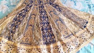 Elegant Embroidered Anarkali Dress