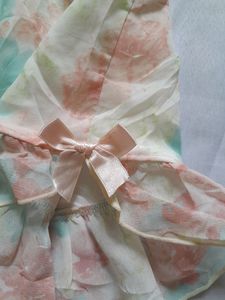 Coquette   Aesthetic Shorts