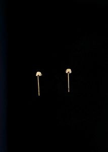 Minimal Anti‑Tarnish Gold Tone Stud Earrings Light