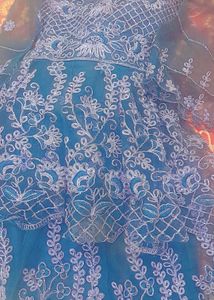 Elegant Blue Embroidered Dress