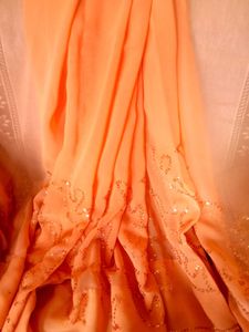 Price Dropped Sequeince Saree