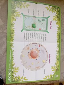 Biology Class 9