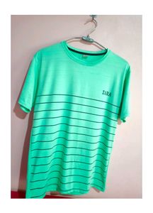 Mint Green Striped Zara T-Shirt