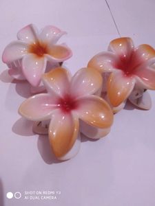 Pastel Flower Hair Claw Clips Set Of 2