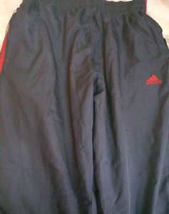 Lower For Daily Wear