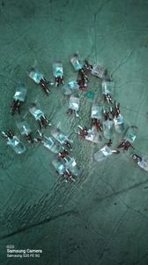 multiple colors rgb small leds 7 colour