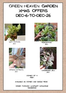 Green Heaven Garden Xmas Offers