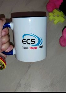 Office Cup