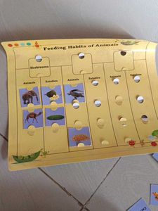 Animal Feeding Habits Puzzle