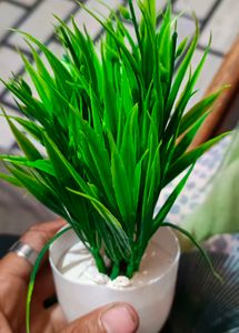 Artificial plants Set Of 5