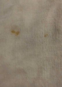 Casual Corduroy Pants
