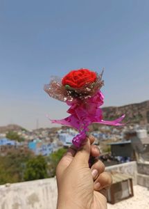 Crochet Single Rose Flower Bouquet 💐🌹