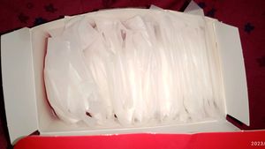 Luvlap Disposable Breast Pads