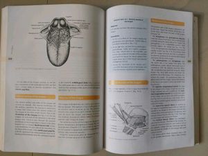 Head, Neck and Brain - 16th Edition