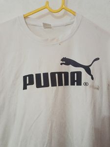 L Size Used