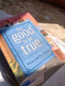 Too Good To Be True Novel