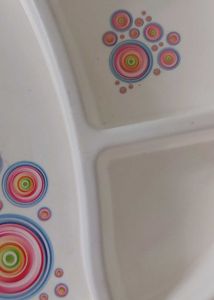 Divided Dinner Plate With Free Boxes