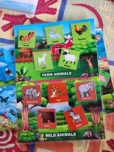 Combo For Kids Learning