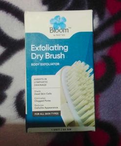 Bloom Exfoliating Oval Dry Bath Brush | For Lympha