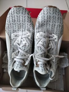 Puma New Shoes Unused