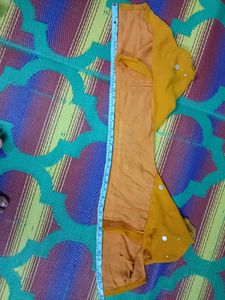Mustard Saree with Silver Detail
