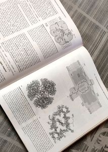 Lehninger Principles Of Biochemistry