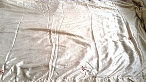 Skin Color  Saree  With  Embroidery.