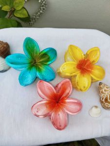 Colourful Flower Hair Clips