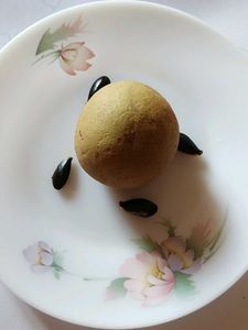 Sabeda Seeds