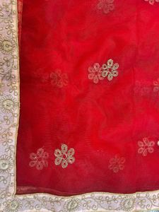 Embellished Pink Lehenga With Contrasting Dupatta