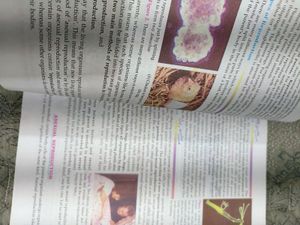 S.Chand Lakhmir Singh Biology Book Class 10