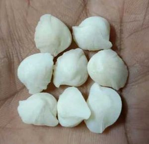Machh Mani Stone मच्छ मणि