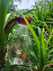 1 L Water Jug( Cello)