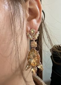 ALDO classy versatile Earrings